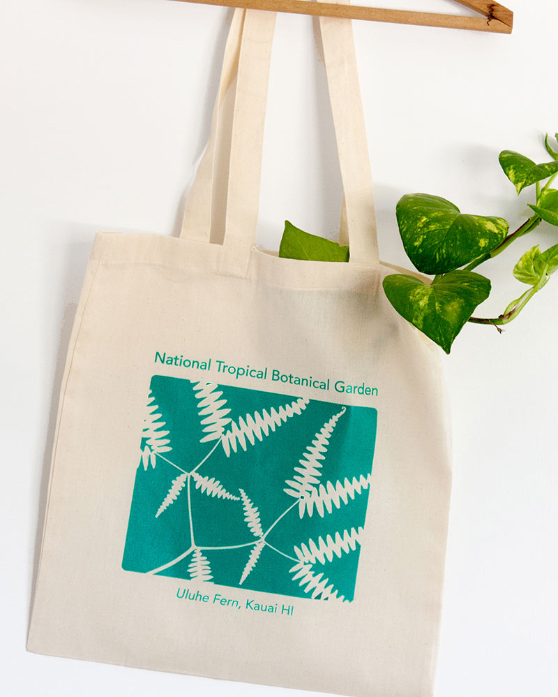 Canvas tote bag holding green plant.